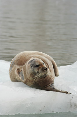 BUITEN BEELD Foto: 3881