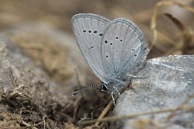 BUITEN BEELD Foto: 3940