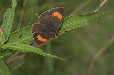 BUITEN BEELD Foto: 3969