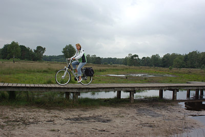 BUITEN BEELD Foto: 39022
