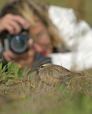 BUITEN BEELD Foto: 39071