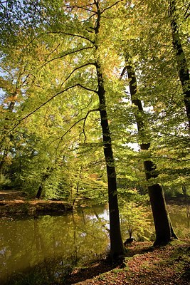 BUITEN BEELD Foto: 39084