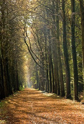 BUITEN BEELD Foto: 39085