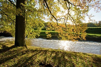 BUITEN BEELD Foto: 39087