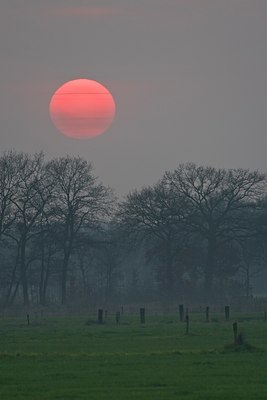 BUITEN BEELD Foto: 39091