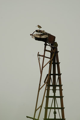 BUITEN BEELD Foto: 39112