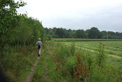 BUITEN BEELD Foto: 39122