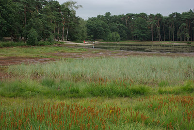 BUITEN BEELD Foto: 39124