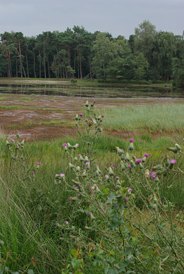 BUITEN BEELD Foto: 39128