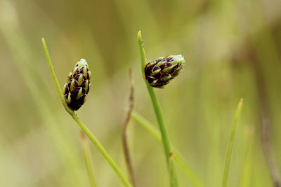 BUITEN BEELD Foto: 39147