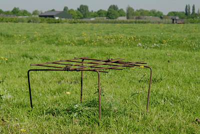 BUITEN BEELD Foto: 39201