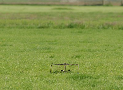BUITEN BEELD Foto: 39203