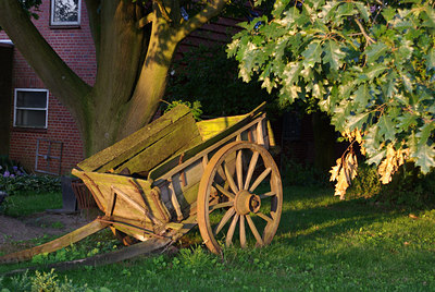 BUITEN BEELD Foto: 39231