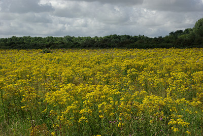 BUITEN BEELD Foto: 39262