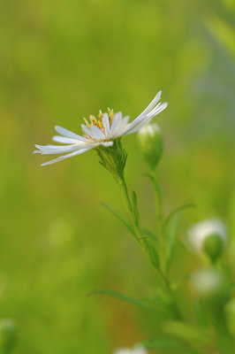 BUITEN BEELD Foto: 39283