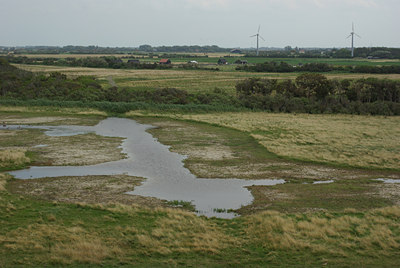 BUITEN BEELD Foto: 39316