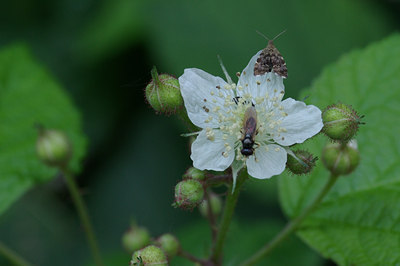 BUITEN BEELD Foto: 39339