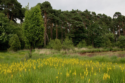 BUITEN BEELD Foto: 39357