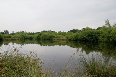 BUITEN BEELD Foto: 39366