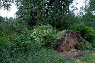 BUITEN BEELD Foto: 39368
