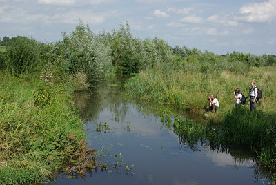 BUITEN BEELD Foto: 39400