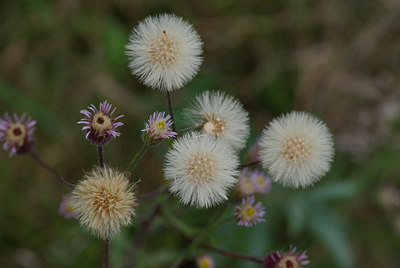 BUITEN BEELD Foto: 39469