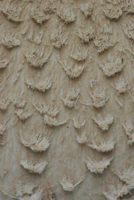 BUITEN BEELD Foto: 39490