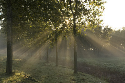 BUITEN BEELD Foto: 39647