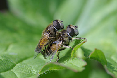 BUITEN BEELD Foto: 39663