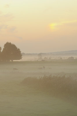 BUITEN BEELD Foto: 39679