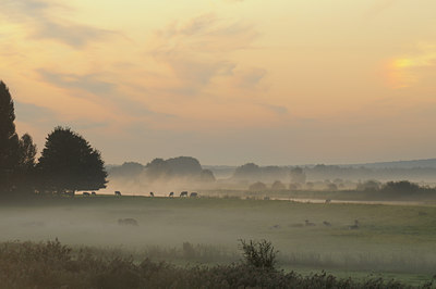 BUITEN BEELD Foto: 39680