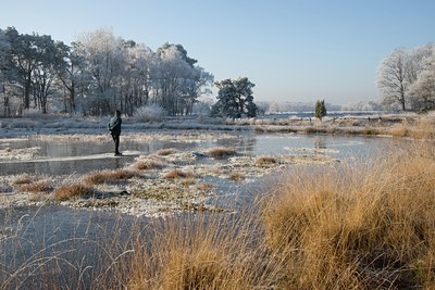 BUITEN BEELD Foto: 39769