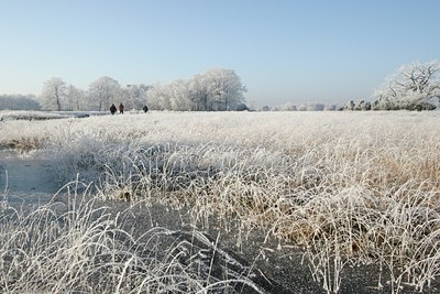 BUITEN BEELD Foto: 39791