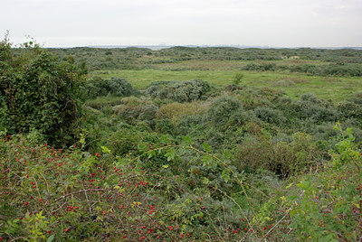 BUITEN BEELD Foto: 39830