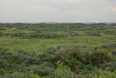 BUITEN BEELD Foto: 39832