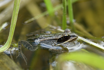 BUITEN BEELD Foto: 39857