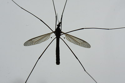 BUITEN BEELD Foto: 39882