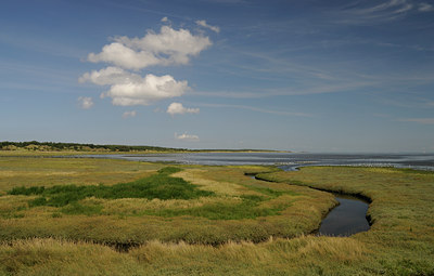 BUITEN BEELD Foto: 39976