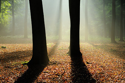 BUITEN BEELD Foto: 39981