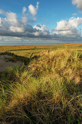 BUITEN BEELD Foto: 399089