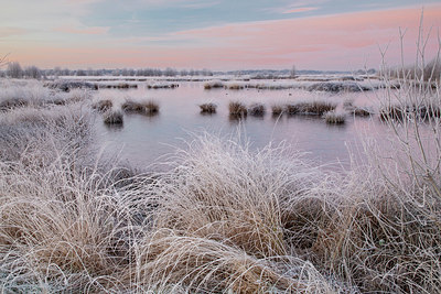 BUITEN BEELD Foto: 399302