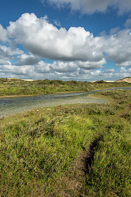 BUITEN BEELD Foto: 399919