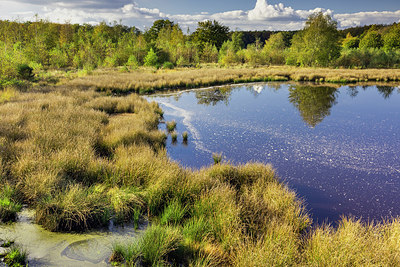 BUITEN BEELD Foto: 400086