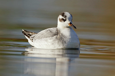 BUITEN BEELD Foto: 400202