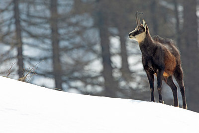 BUITEN BEELD Foto: 400581