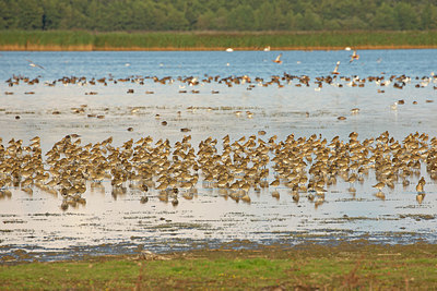 BUITEN BEELD Foto: 400610