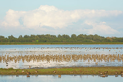 BUITEN BEELD Foto: 400611