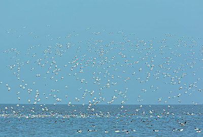 BUITEN BEELD Foto: 400614