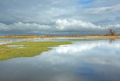 BUITEN BEELD Foto: 400682