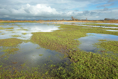 BUITEN BEELD Foto: 400684